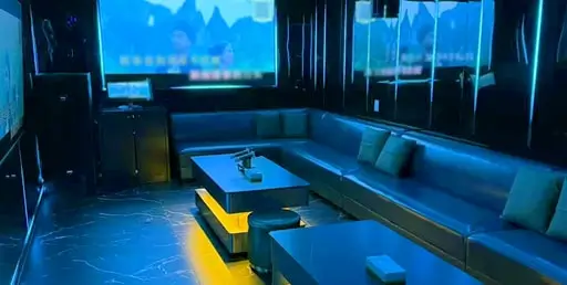 KTV (XL) ROOM - Fits 20 ppl
